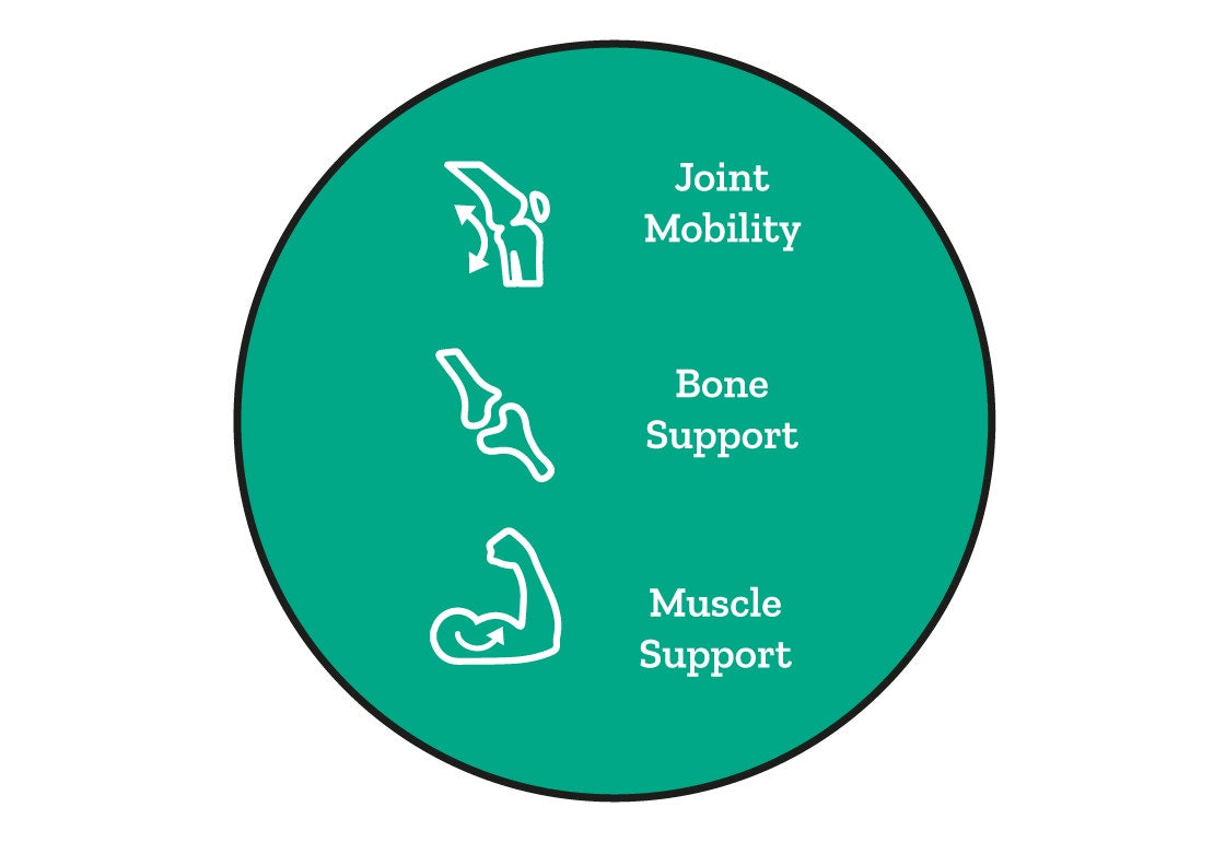 Joint Health